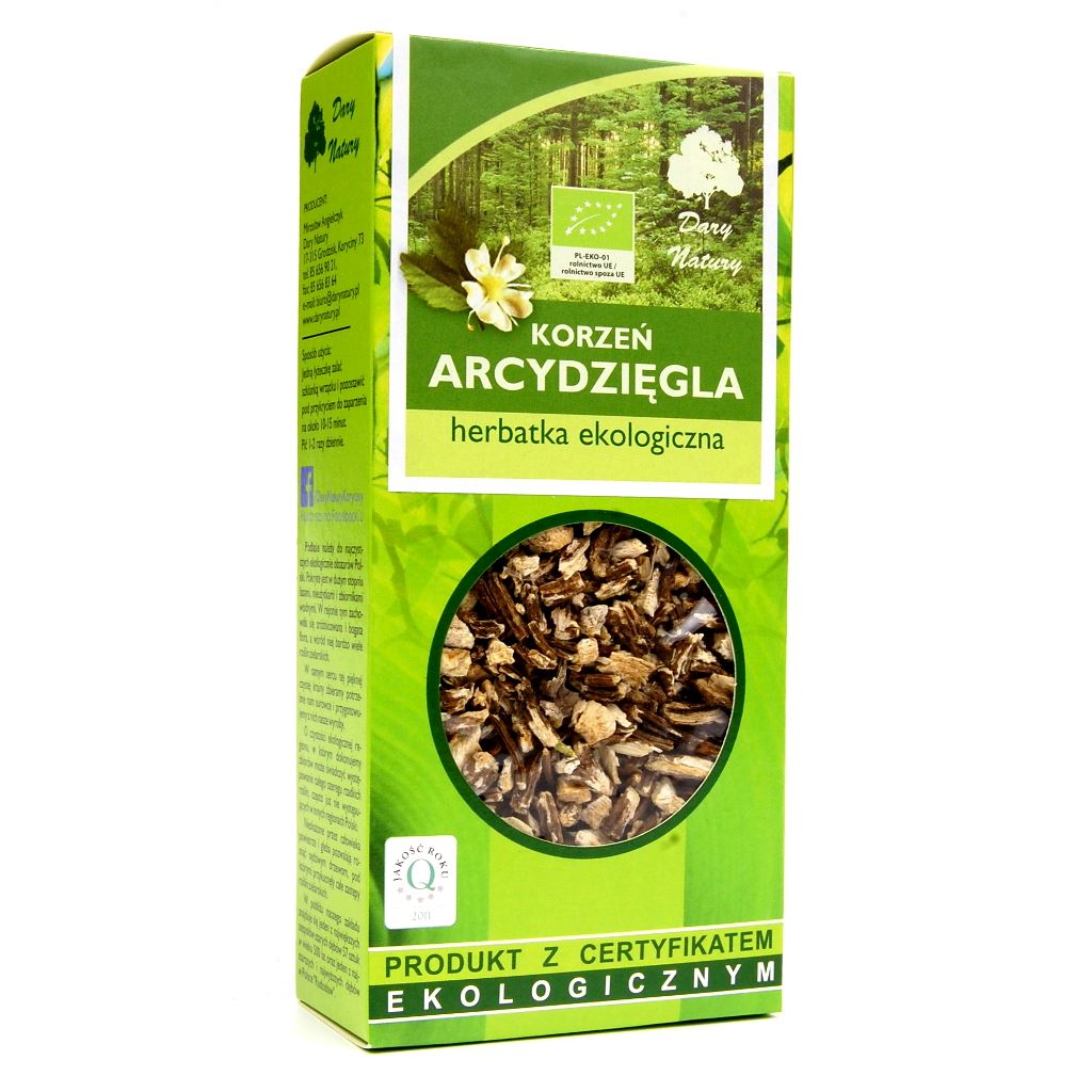 HERBATKA Z KORZENIA ARCYDZIĘGLA BIO 100 g - DARY NATURY-0